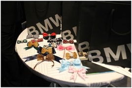 京顺宝BMW 3系丽人节主题活动圆满落幕，以“悦己”之姿，驭风而行